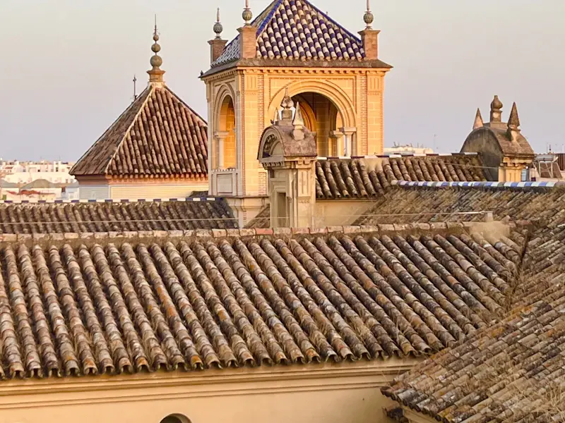 Tiled rooftops and towers of the old city in evening light